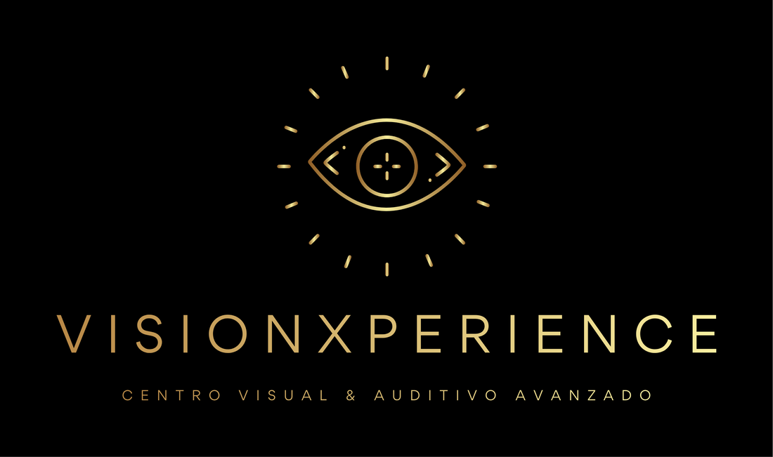 VisionXperience
